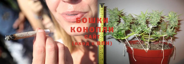 соль курить ск Алзамай