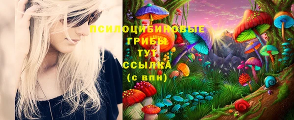 винт Алексин