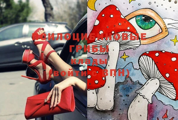 винт Алексин