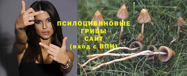 соль курить ск Алзамай