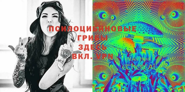 винт Алексин