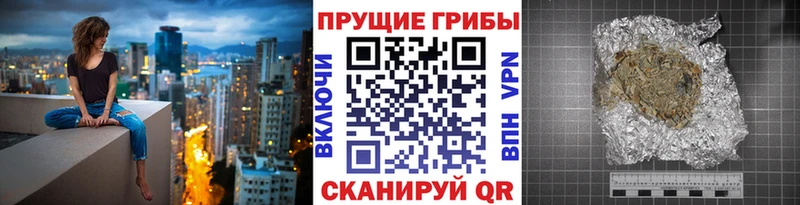 Галлюциногенные грибы прущие грибы  Протвино 